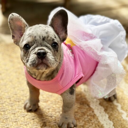 Scribbles | 10 Weeks
